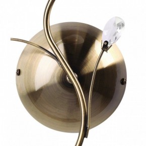 Бра MW-Light Нежность 7 356023001 в Елабуге - elabuga.mebel24.online | фото 3