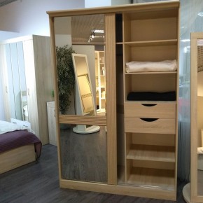 ДИАНА Д13 Шкаф-купе в Елабуге - elabuga.mebel24.online | фото 4
