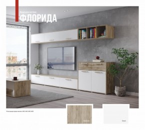 ФЛОРИДА Гостиная (модульная) дуб серый/белый в Елабуге - elabuga.mebel24.online | фото