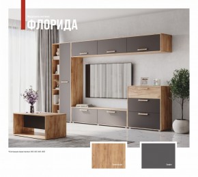 ФЛОРИДА Гостиная (модульная) дуб золотой/графит в Елабуге - elabuga.mebel24.online | фото