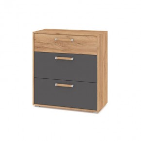 ФЛОРИДА Гостиная (модульная) дуб золотой/графит в Елабуге - elabuga.mebel24.online | фото 8