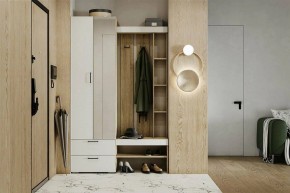 Гарнитур для прихожей Торонто в Елабуге - elabuga.mebel24.online | фото 5