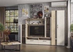 Гостиная Эмма (Дуб Крафт серый/белый) в Елабуге - elabuga.mebel24.online | фото