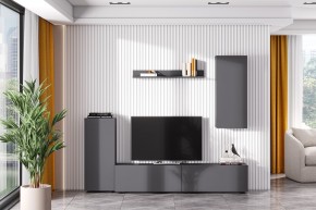Гостиная МГС 10 (Графит) в Елабуге - elabuga.mebel24.online | фото 1