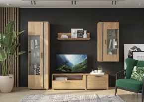 Гостиная Омега (Крафт золотой-Бетон) в Елабуге - elabuga.mebel24.online | фото