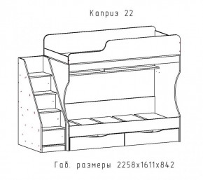 КАПРИЗ-22 Кровать двухъярусная 800 настил ЛДСП в Елабуге - elabuga.mebel24.online | фото 2