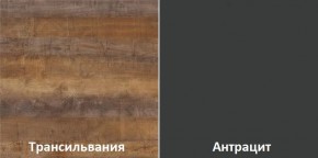 Кухня угловая Трансильвания 2600х1600 мм (Стол. 38 мм) в Елабуге - elabuga.mebel24.online | фото 3