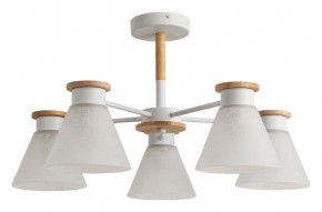 Люстра на штанге Arte Lamp Tyler A1031PL-5WH в Елабуге - elabuga.mebel24.online | фото 4