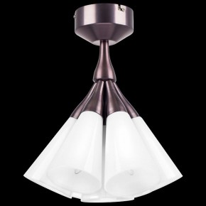 Люстра на штанге Lightstar Cone 757070 в Елабуге - elabuga.mebel24.online | фото 8