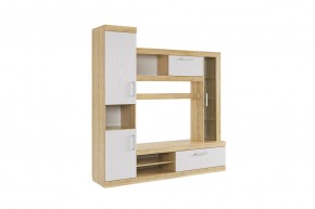 МАКСИ К1 Стенка для гостиной дуб сонома/белое дерево в Елабуге - elabuga.mebel24.online | фото 3