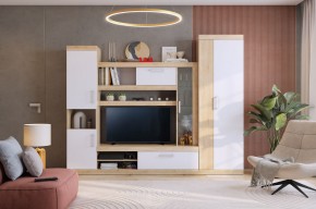 МАКСИ К1 Стенка для гостиной дуб сонома/белое дерево в Елабуге - elabuga.mebel24.online | фото 5