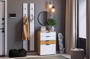 МЕБЕЛЬСОН К21 Прихожая в Елабуге - elabuga.mebel24.online | фото