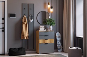 МЕБЕЛЬСОН К21 Прихожая в Елабуге - elabuga.mebel24.online | фото 2