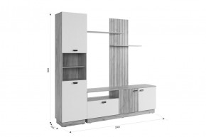 МОДИ Гостиная (модульная) белое дерево в Елабуге - elabuga.mebel24.online | фото 2