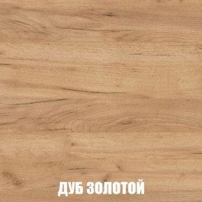 МСП-1 Шкаф 2-х створчатый (Дуб Золотой/Камень темный) в Елабуге - elabuga.mebel24.online | фото 4