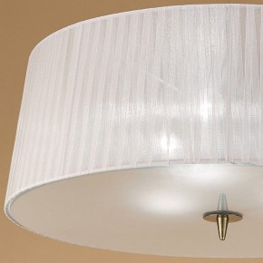 Накладной светильник Mantra Loewe 4740 в Елабуге - elabuga.mebel24.online | фото 3