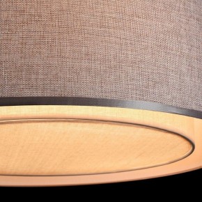 Накладной светильник Maytoni Bergamo MOD613CL-04GR в Елабуге - elabuga.mebel24.online | фото 10