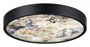 Накладной светильник Odeon Light Bergi 5064/24L в Елабуге - elabuga.mebel24.online | фото 4