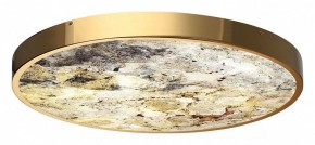 Накладной светильник Odeon Light Bergi 5079/50L в Елабуге - elabuga.mebel24.online | фото 5