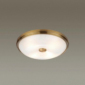 Накладной светильник Odeon Light Pelow 4956/4 в Елабуге - elabuga.mebel24.online | фото 2