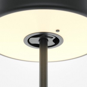 Настольная лампа декоративная Maytoni AI Collaboration MOD229TL-L3B3K2 в Елабуге - elabuga.mebel24.online | фото 5