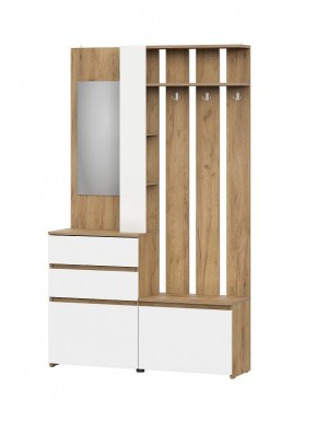 НЕКСТ 1 Вешалка с зеркалом + Шкаф 2-х ств. с ящиками в Елабуге - elabuga.mebel24.online | фото 4