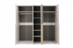 НИКОЛЬ 25 Шкаф 5-ти створчатый в Елабуге - elabuga.mebel24.online | фото 3