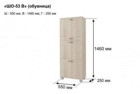 ШО-53 В тумба для обуви в Елабуге - elabuga.mebel24.online | фото 8