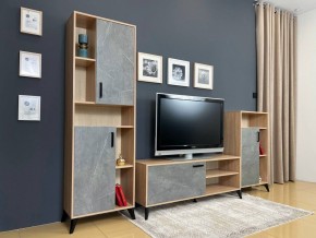 ОСКАР TRIO Гостиная (дуб золотой/каспий темный) в Елабуге - elabuga.mebel24.online | фото