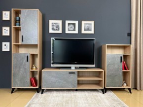 ОСКАР TRIO Гостиная (дуб золотой/каспий темный) в Елабуге - elabuga.mebel24.online | фото 2