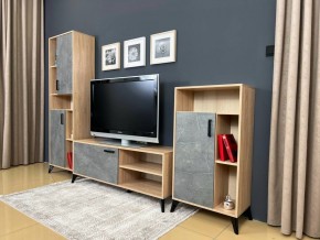 ОСКАР TRIO Гостиная (дуб золотой/каспий темный) в Елабуге - elabuga.mebel24.online | фото 3