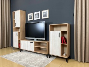 ОСКАР TRIO Гостиная (дуб золотой/сосна белая loft) в Елабуге - elabuga.mebel24.online | фото 3