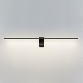 Подсветка для картины Odeon Light Tiny 7069/10WL в Елабуге - elabuga.mebel24.online | фото 2