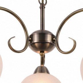 Подвесная люстра Arte Lamp Margo A9317LM-3AB в Елабуге - elabuga.mebel24.online | фото 4