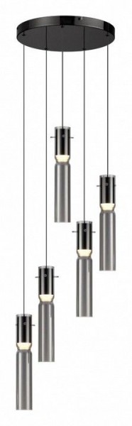 Подвесная люстра Odeon Light Scrow 5058/25L в Елабуге - elabuga.mebel24.online | фото 2