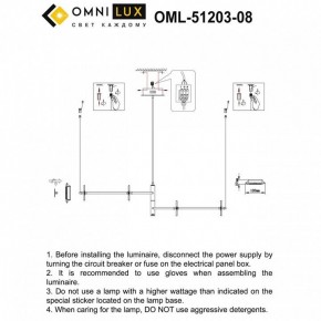 Подвесная люстра Omnilux Indovero OML-51203-08 в Елабуге - elabuga.mebel24.online | фото 3