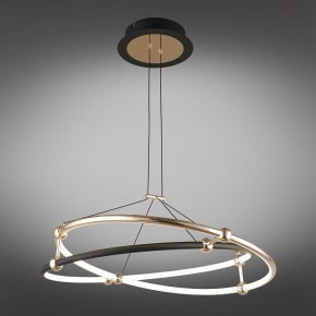 Подвесной светильник Aployt Diana APL.034.03.40 в Елабуге - elabuga.mebel24.online | фото 11