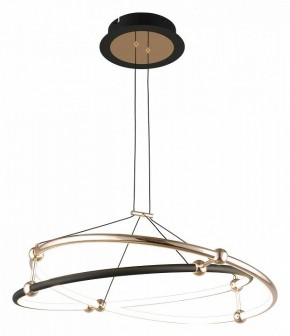 Подвесной светильник Aployt Diana APL.034.03.40 в Елабуге - elabuga.mebel24.online | фото 2
