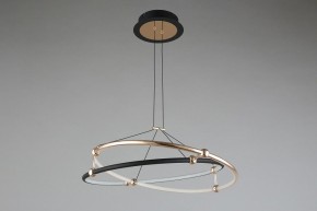 Подвесной светильник Aployt Diana APL.034.03.40 в Елабуге - elabuga.mebel24.online | фото 6