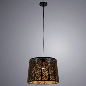 Подвесной светильник Arte Lamp Celesta A2769SP-1BK в Елабуге - elabuga.mebel24.online | фото 3