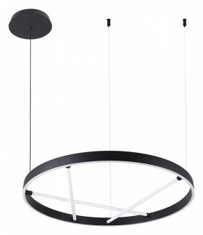 Подвесной светильник Arte Lamp Ricco A1874SP-32BK в Елабуге - elabuga.mebel24.online | фото 2