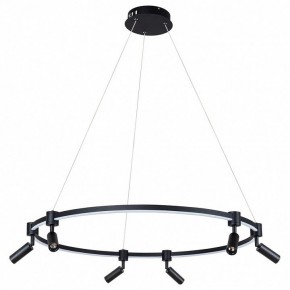 Подвесной светильник Arte Lamp Ring A2186SP-1BK в Елабуге - elabuga.mebel24.online | фото 2