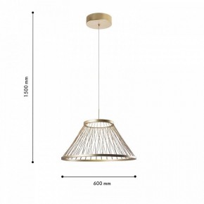 Подвесной светильник Favourite Fibra 4634-6P в Елабуге - elabuga.mebel24.online | фото 4