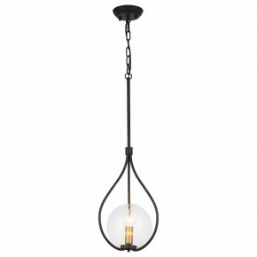 Подвесной светильник Favourite Kessel 1905-1P в Елабуге - elabuga.mebel24.online | фото 2