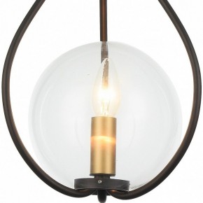 Подвесной светильник Favourite Kessel 1905-1P в Елабуге - elabuga.mebel24.online | фото 3
