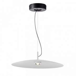 Подвесной светильник Favourite Lars 4410-1P в Елабуге - elabuga.mebel24.online | фото 2