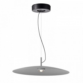Подвесной светильник Favourite Lars 4412-1P в Елабуге - elabuga.mebel24.online | фото 2