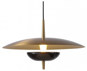 Подвесной светильник Favourite Marmo 4246-1P в Елабуге - elabuga.mebel24.online | фото