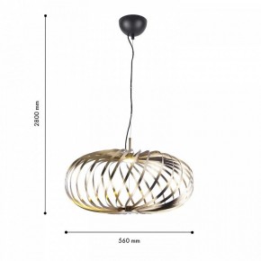 Подвесной светильник Favourite Spring 4680-1P в Елабуге - elabuga.mebel24.online | фото 4