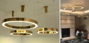 Подвесной светильник Imperiumloft Light Ring Horizontal 40.1454-40 в Елабуге - elabuga.mebel24.online | фото 2